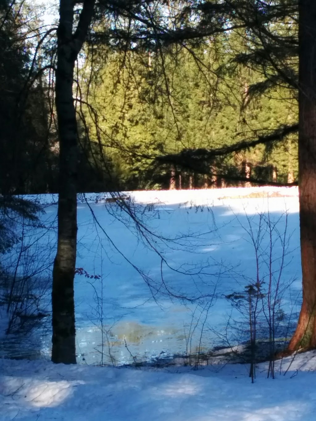 Godwin Farm Biodiversity Preserve | 9016 164 St, Surrey, BC V4N 2Z8, Canada | Phone: (604) 501-5050
