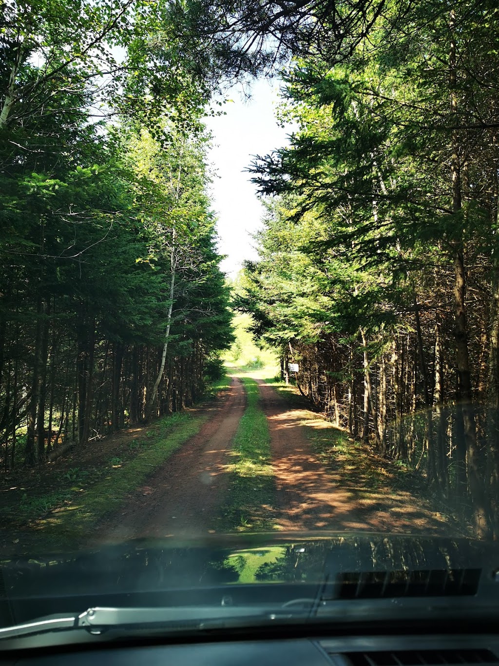 Triple Creek Farm | 4634 PE-225, Breadalbane, PE C0A 1E0, Canada | Phone: (902) 316-0228