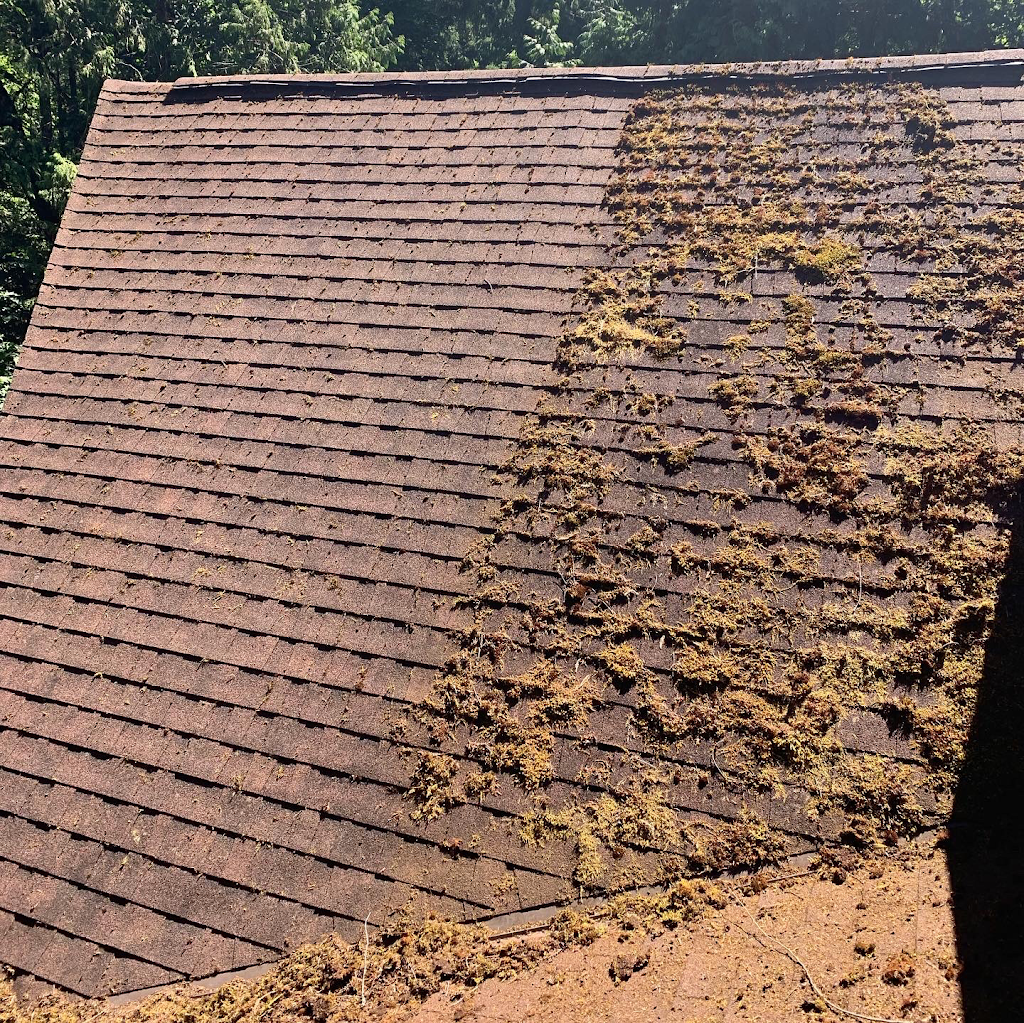 Chadam Cleaning | 10829 Dallain Pl, North Saanich, BC V8L 5M7, Canada | Phone: (778) 922-2597