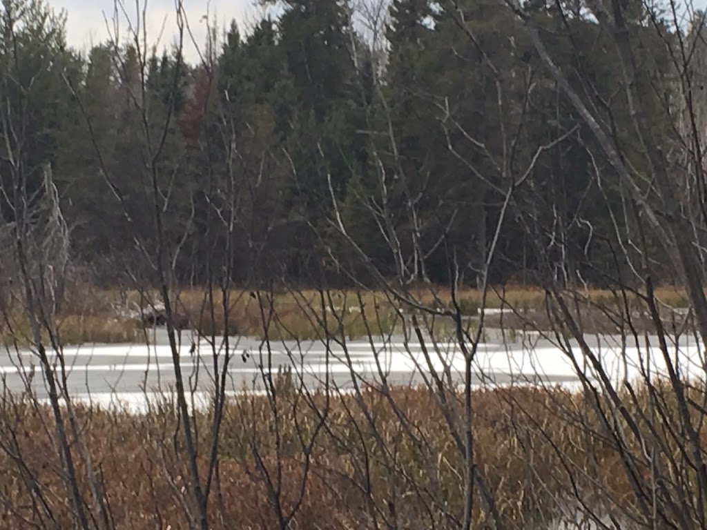 Hudson Township Hall | 278011 Milberta Rd, Temiskaming Shores, ON P0J 1P0, Canada | Phone: (705) 647-5568