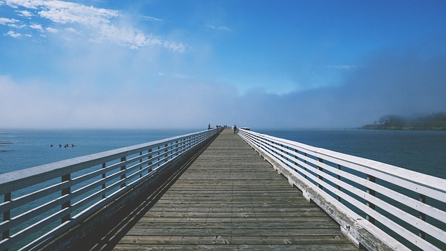 Homelists South Surrey White Rock | 1483 King George Blvd, Surrey, BC V4A 4Z5, Canada | Phone: (604) 537-9407