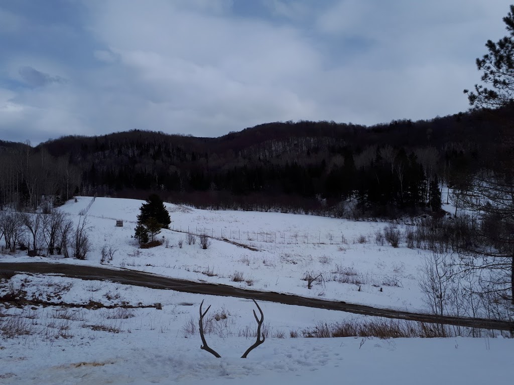 Centre De Recherche Monet | 1747 Chemin des Rapides, Amherst, QC J0T 2L0, Canada | Phone: (819) 687-2057