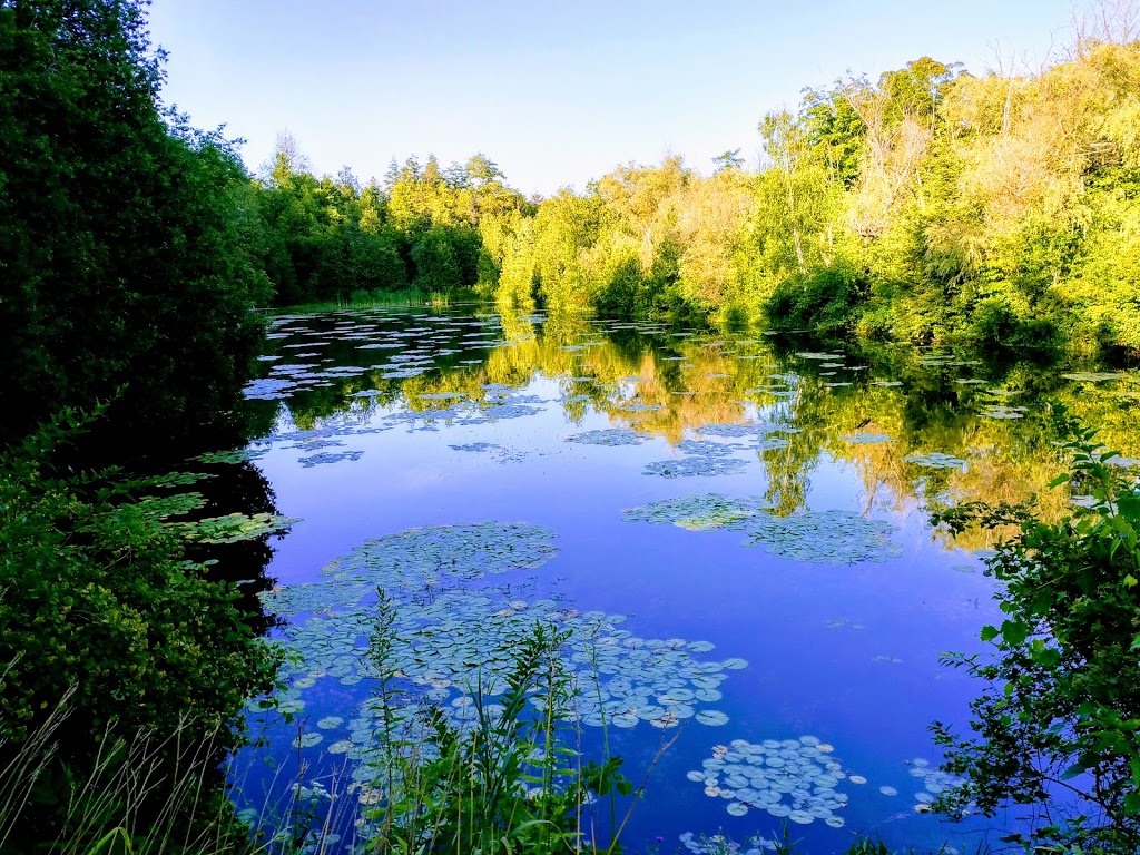 Benmiller Inn & Spa | 81175 Benmiller Line, Goderich, ON N7A 3Y1, Canada | Phone: (519) 524-2191