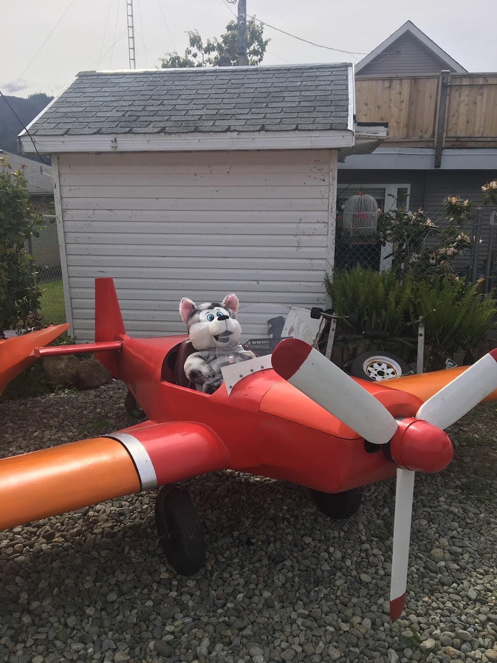 Alberni Valley Soaring Association | 7470 Airport Rd, Port Alberni, BC V9Y 8Y9, Canada | Phone: (866) 590-7627
