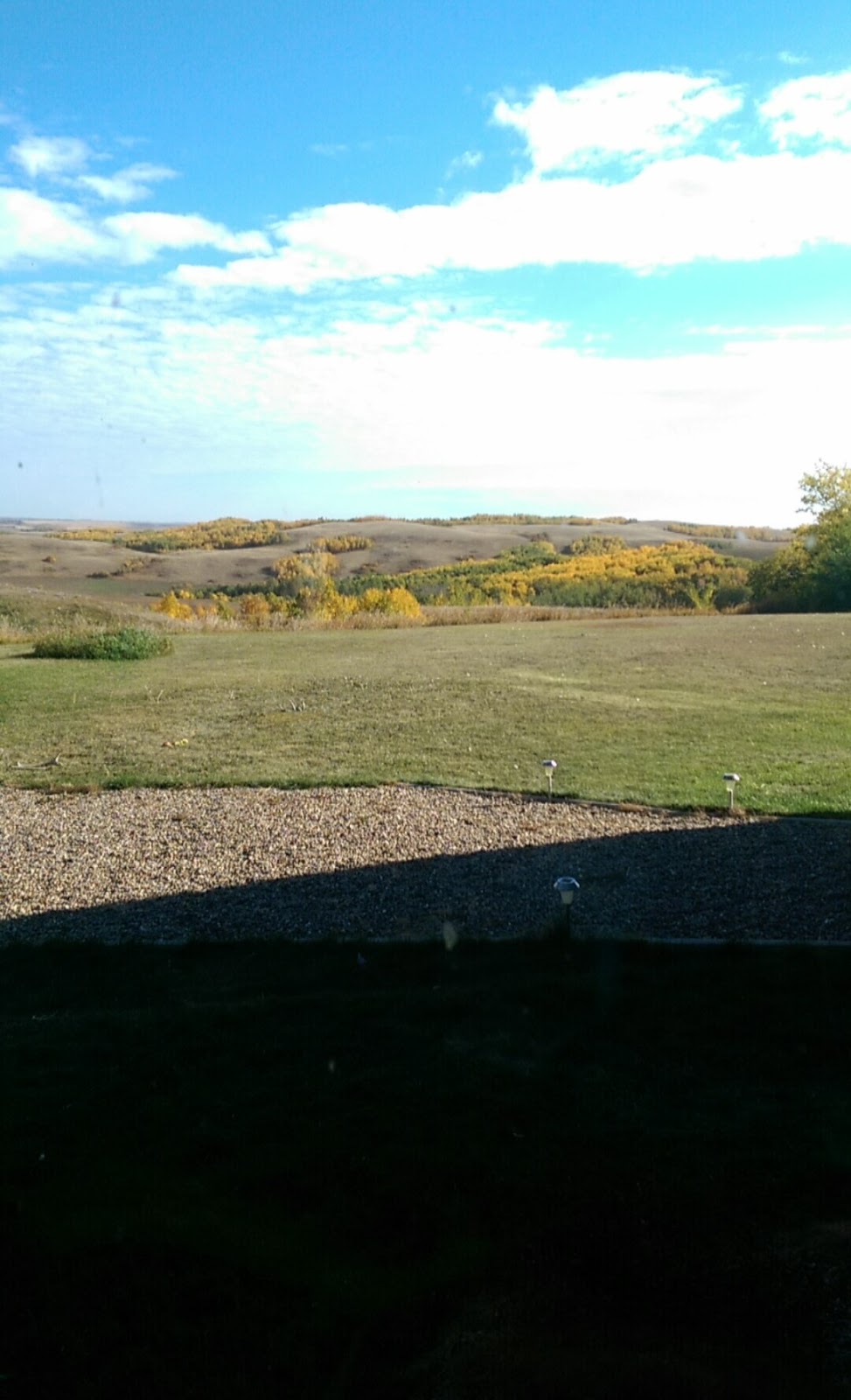 Readman Ranch | Unnamed Road 2P0, Richard, SK S0M 2P0, Canada | Phone: (306) 246-4269