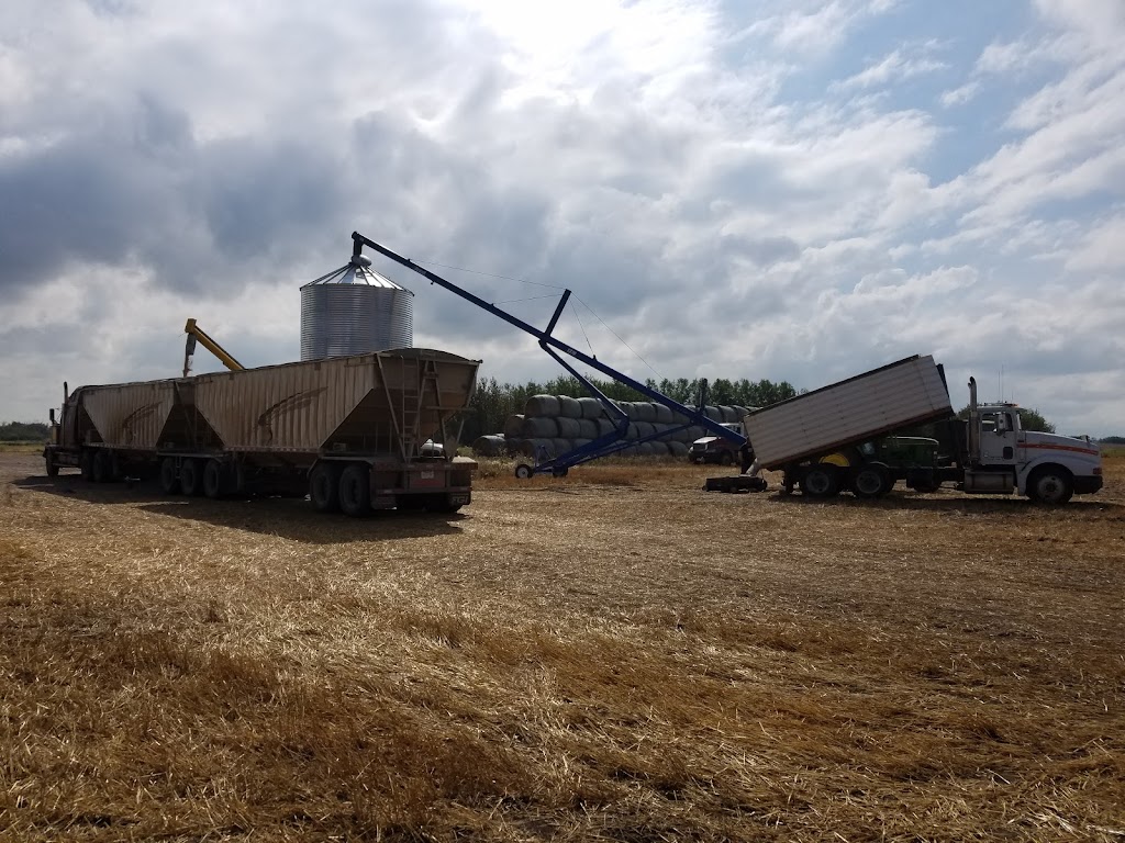 Van Haga Trucking Ltd. | 4607 42 St, Stettler, AB T0C 2L0, Canada | Phone: (403) 323-0060