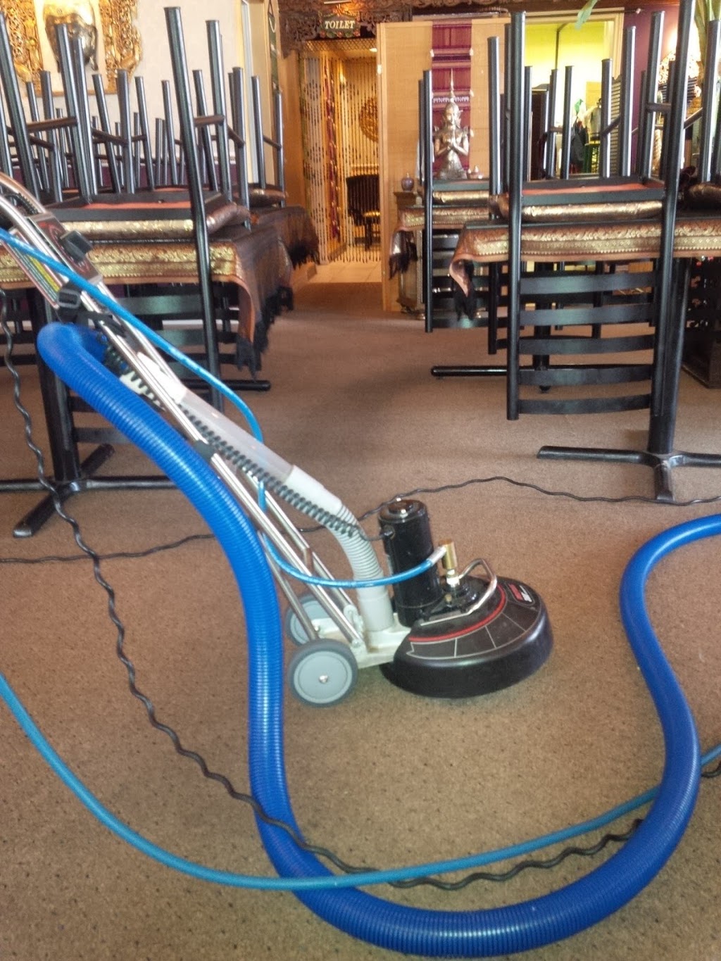 Ontario Cleaning Systems | 1435 Norjohn Ct Unit 7, Burlington, ON L7L 0E6, Canada | Phone: (905) 690-0042
