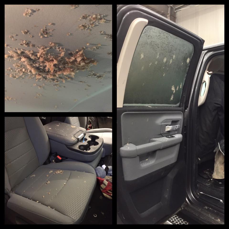 Ultimate Auto Detailing & Accessories Ltd | 909 High St W, Moose Jaw, SK S6H 7P7, Canada | Phone: (306) 694-4020