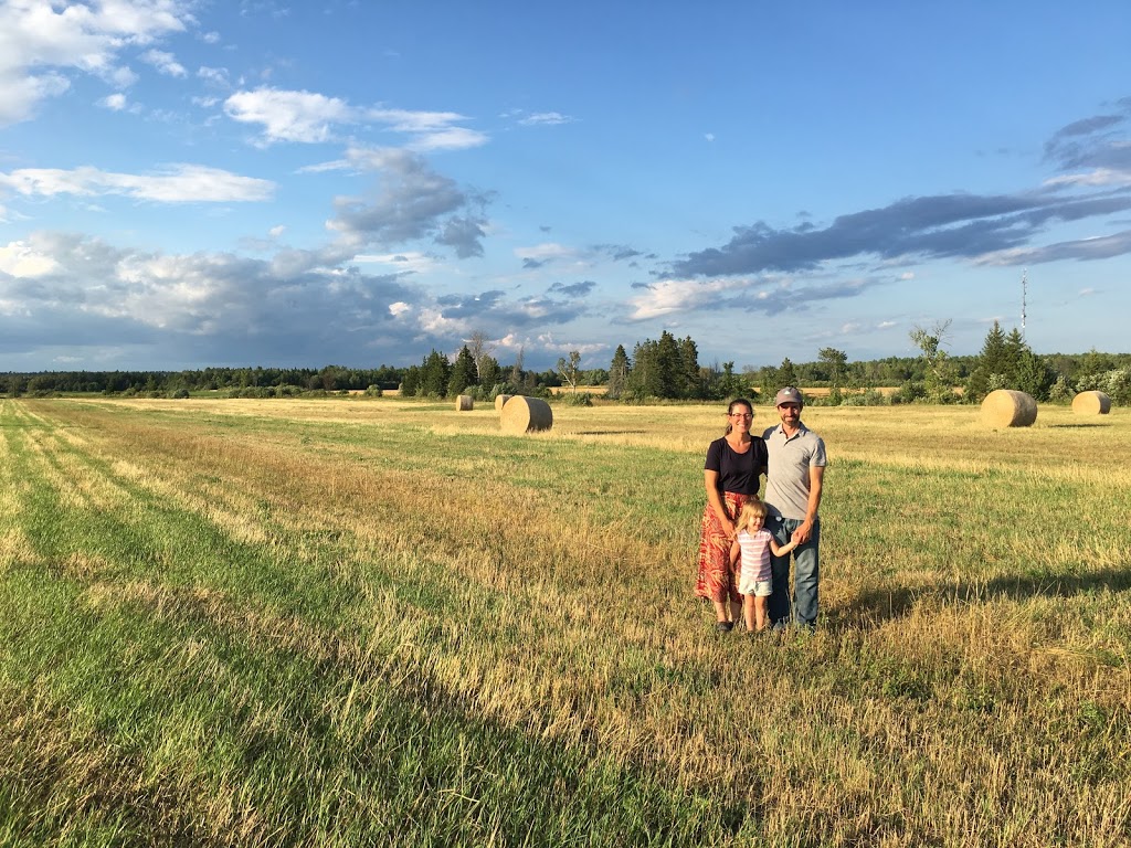 Field Good Farms | 1345 Levac Rd, Cache Bay, ON P0H 1G0, Canada | Phone: (705) 978-1664