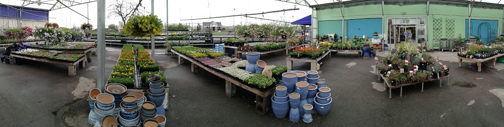 Menne Garden Artistry, LLC | 2934 Niagara Falls Blvd, North Tonawanda, NY 14120, USA | Phone: (716) 693-4444