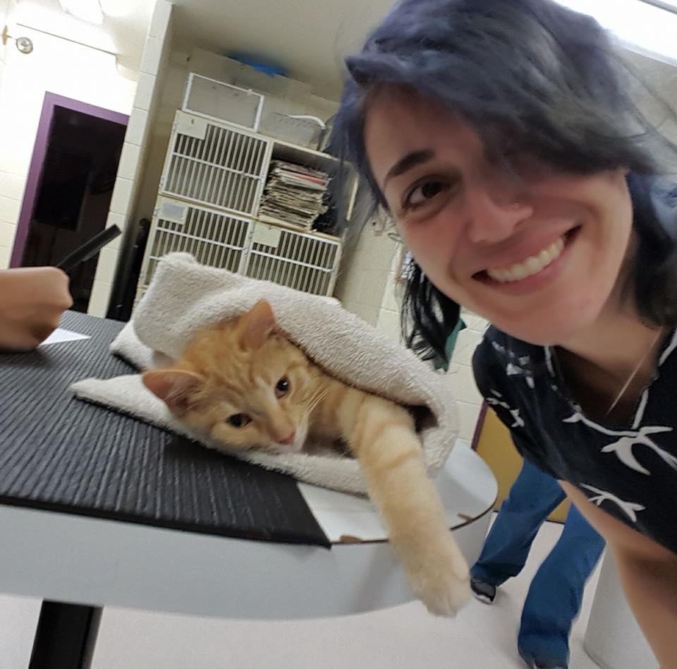 Winnipeg Animal Emergency Hospital | 400 Pembina Hwy, Winnipeg, MB R3L 2E7, Canada | Phone: (204) 452-9427