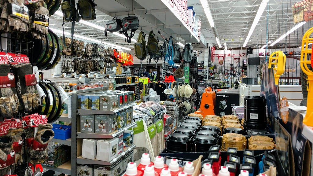 Coastal Outdoors | 1256 Topsail Rd, Mount Pearl, NL A1N 5E8, Canada | Phone: (709) 747-0159