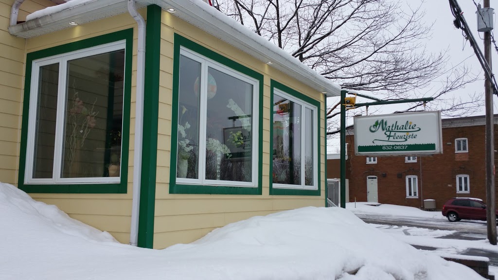 Nathalie Fleuriste | 3598 Ave. Saint-Augustin, Lévis, QC G6Z 8H3, Canada | Phone: (418) 832-0837