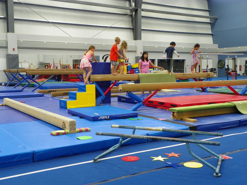 Ortona Gymnastics Club | Saville Community Sports Centre, 11610 65 Ave NW, Edmonton, AB T6G 2E1, Canada | Phone: (780) 492-7300