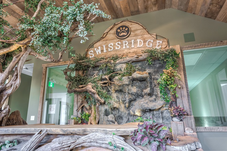 swissridge kennels | 16195 12th Concession, Schomberg, ON L0G 1T0, Canada | Phone: (289) 608-8164