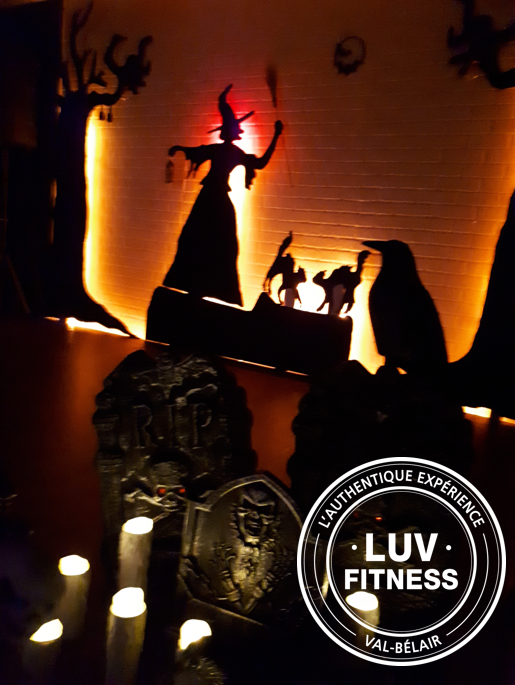 LUV FITNESS | 1770 Boulevard Pie-XI N, Québec, QC G3J 1M9, Canada