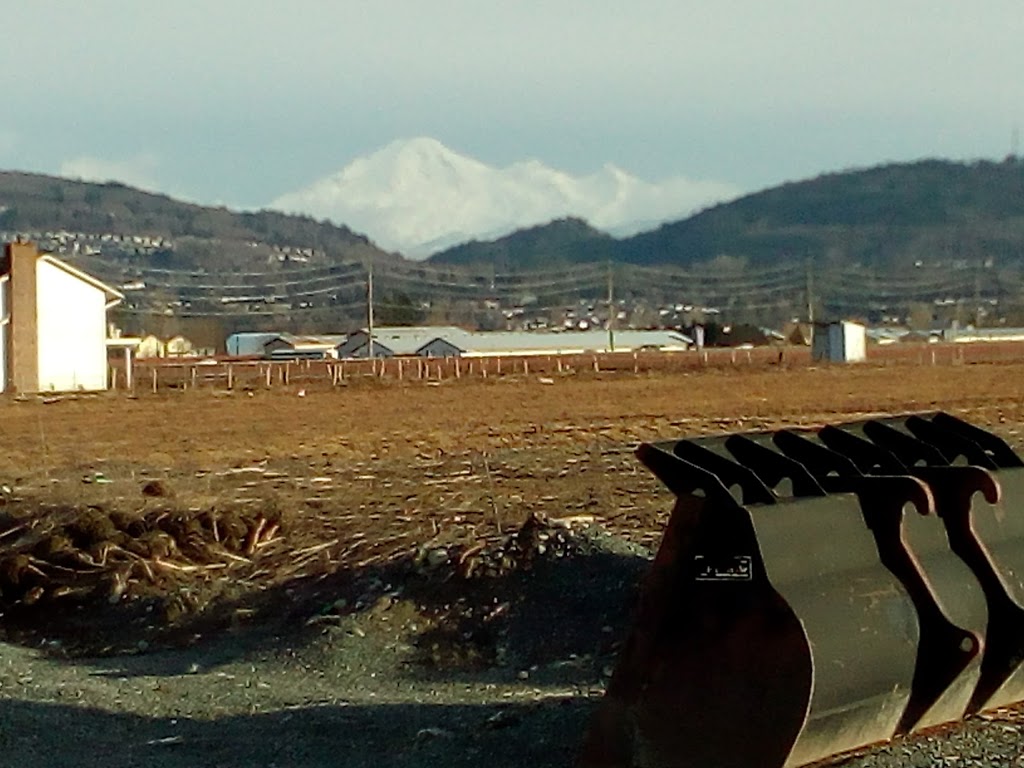 Randhawa Farms | 33677 Hallert Road, Abbotsford, BC V4X 1W9, Canada | Phone: (604) 864-8896
