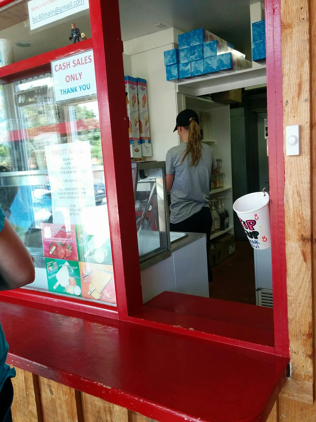 Baileys Ice Cream | 40 Main St, Erin, ON N0B 1T0, Canada