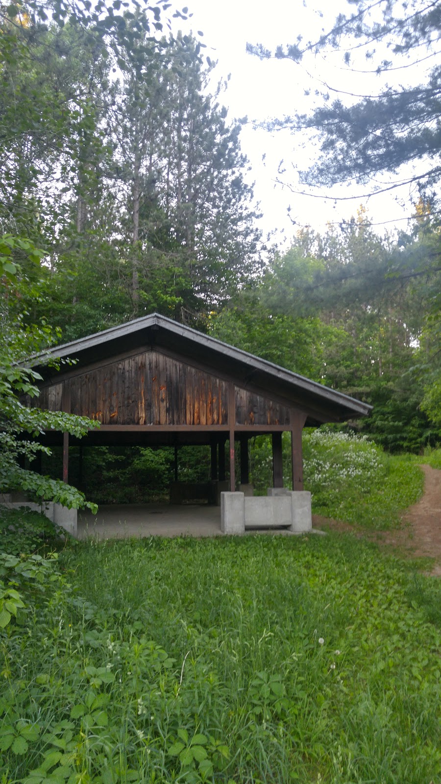 Withchurch Conservation Area | Unnamed Road, Newmarket, ON L3Y 4W1, Canada