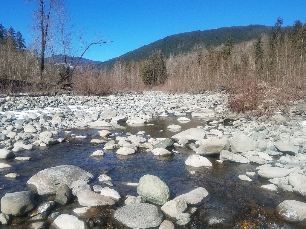Twelve Bedroom Lodge - 03MBH | 8959 Mt Baker Hwy, Deming, WA 98244, USA | Phone: (636) 736-4460