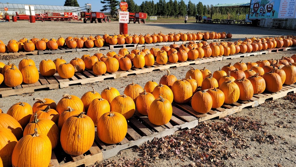 Thiessen Apple Orchard | 400 Talbot Rd E, Leamington, ON N8H 3V6, Canada | Phone: (519) 326-5282