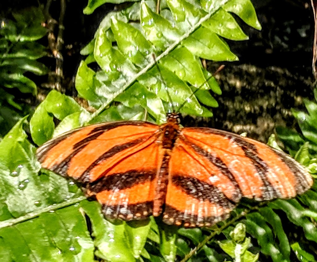 Botanical Gardens | 2565 Niagara Pkwy, Niagara Falls, ON L2E 2S7, Canada | Phone: (905) 356-8119