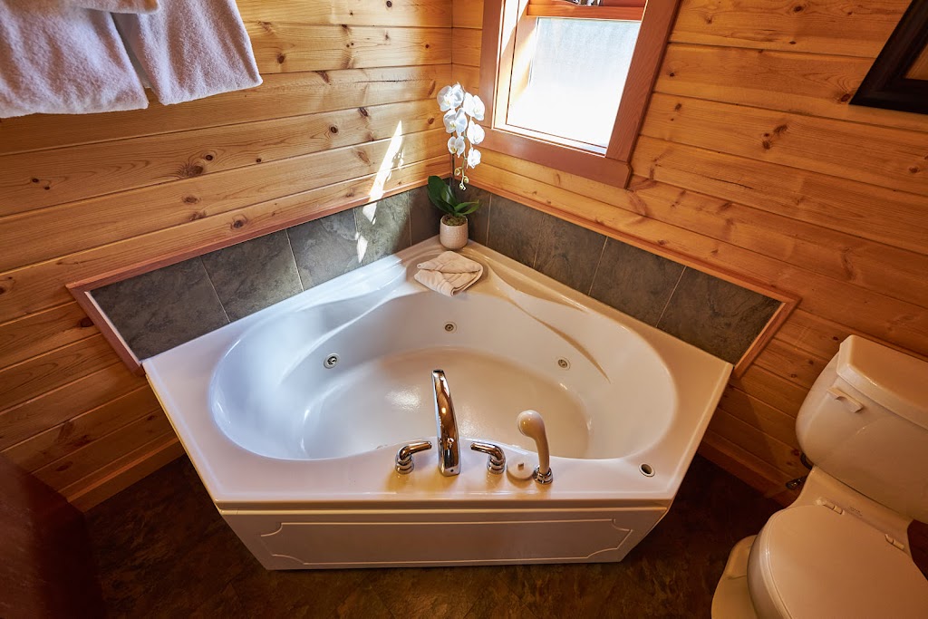 Castle Mountain Chalets | Banff-Windermere Hwy, Improvement District No. 9, AB T1L 1B5, Canada | Phone: (403) 762-3868