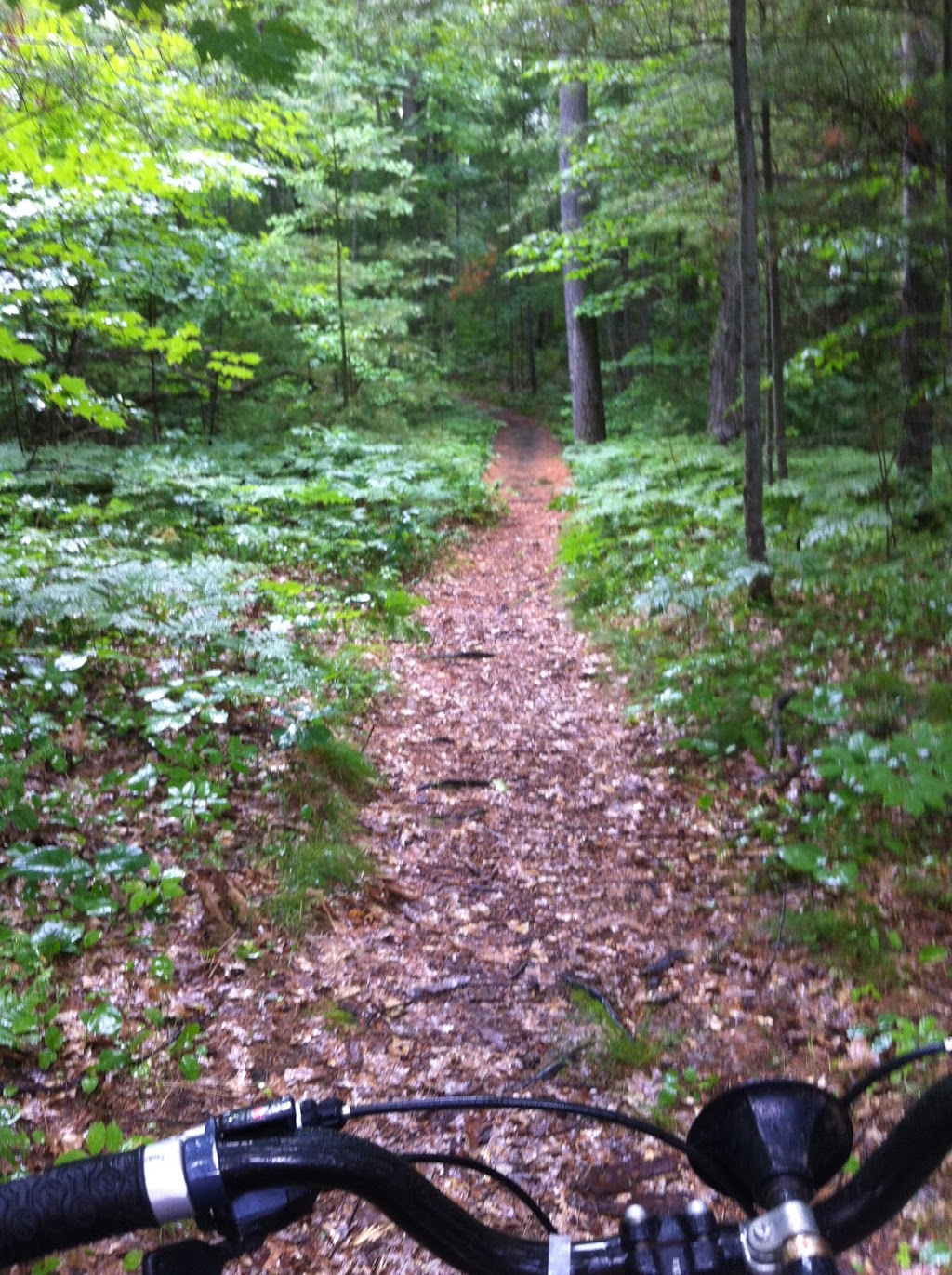 Muskoka Naturopathic Family Practice, Dr Howie Owens ND | 159 John St, Bracebridge, ON P1L 2E1, Canada | Phone: (705) 645-9047