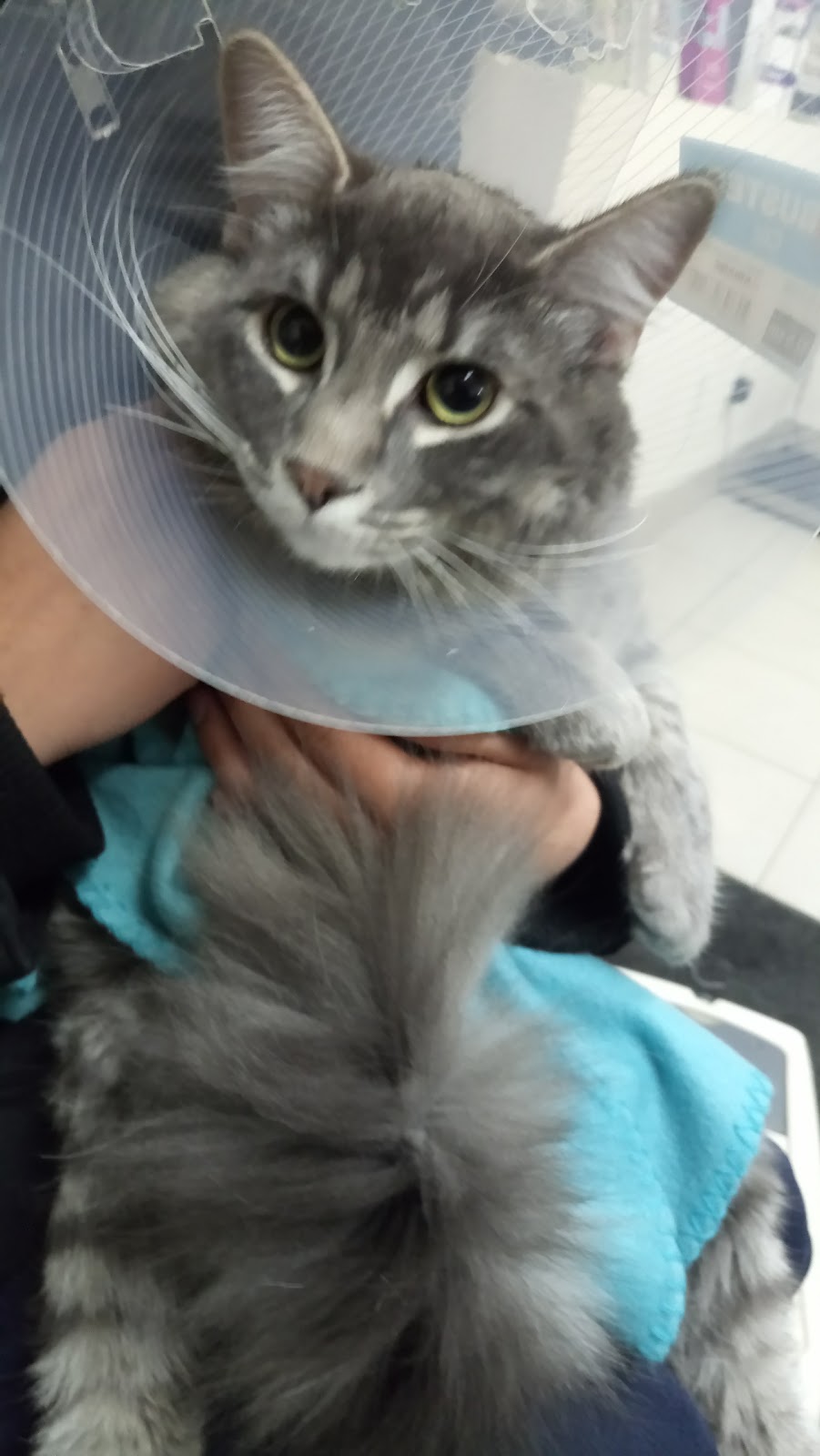 Prairie Winds Animal Clinic | 3690 Westwinds Dr NE # 319, Calgary, AB T3J 5H3, Canada | Phone: (403) 474-8436