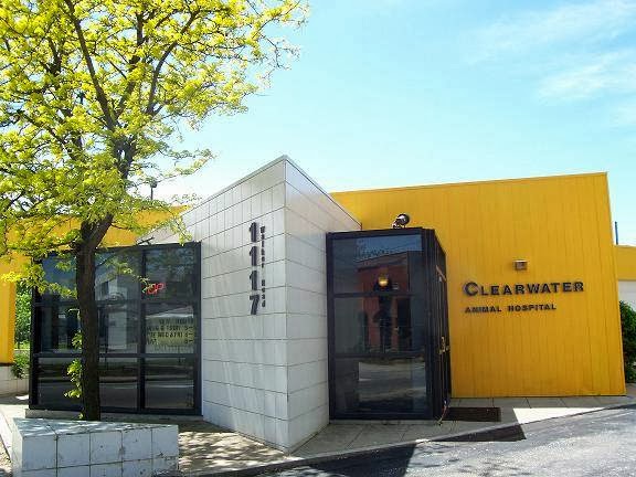 Clearwater Animal Hospital | 1117 Walker Rd, Windsor, ON N8Y 2N8, Canada | Phone: (519) 253-7204