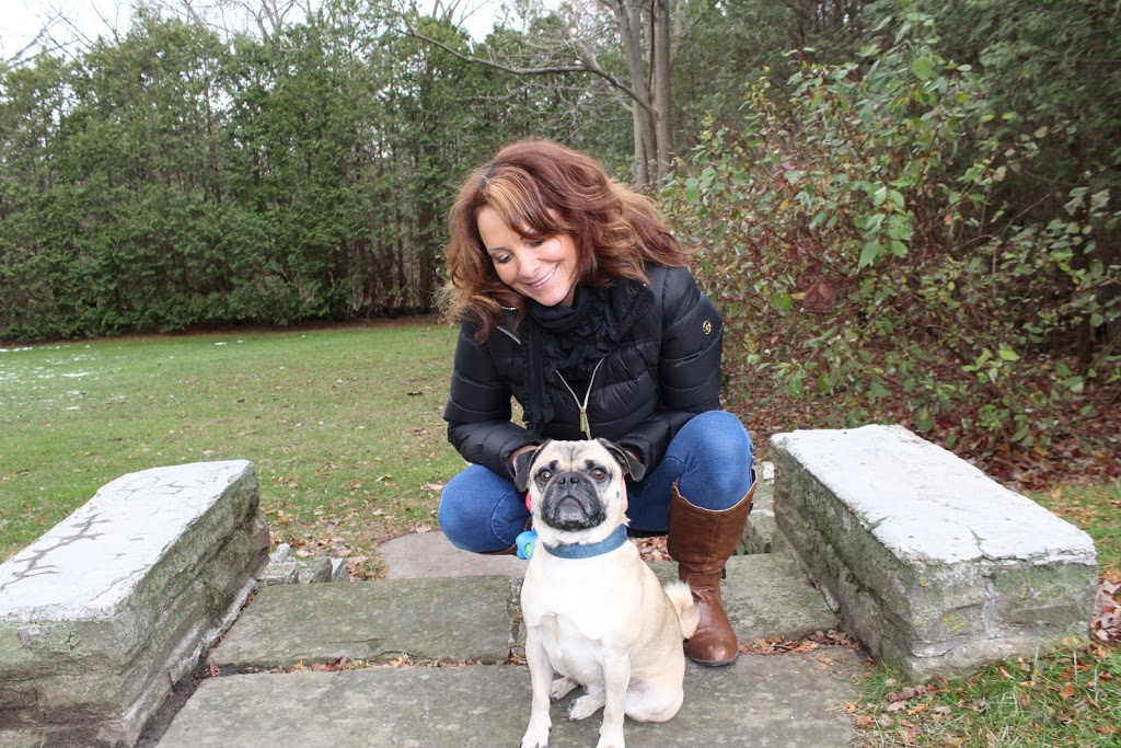Ravenswood Dog Walking and Private Boarding | 369 Aurora Crescent, Burlington, ON L7N 2B1, Canada | Phone: (647) 702-0946