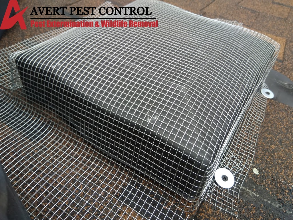 Avert Pest Control | 35 Prouse Dr, Brampton, ON L6V 3A3, Canada | Phone: (647) 898-2430