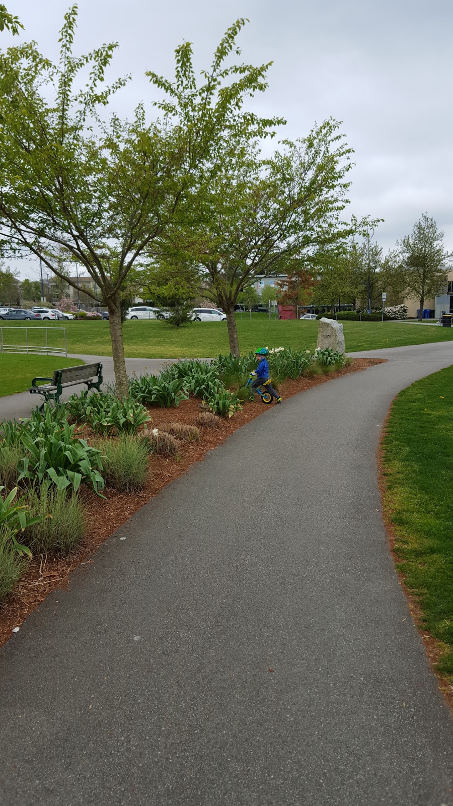 Francis Park | 15925-, 15971 83 Ave, Surrey, BC V4N 0W1, Canada