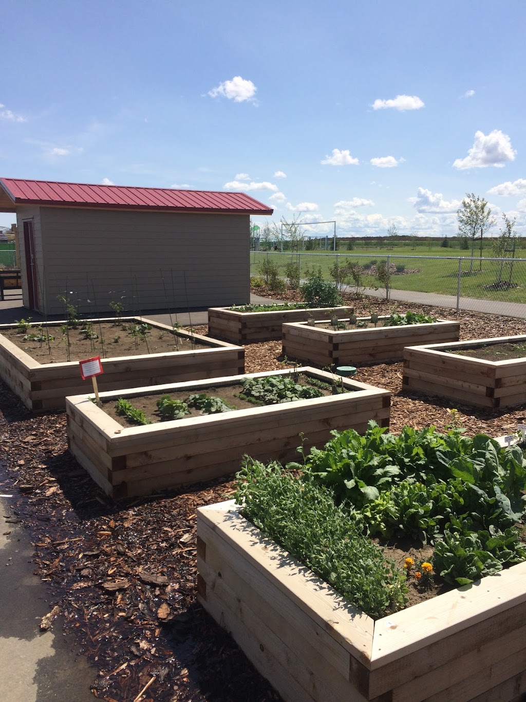 Copperwood | Coalbanks Blvd W, Lethbridge, AB T1J 2G9, Canada | Phone: (780) 455-3098