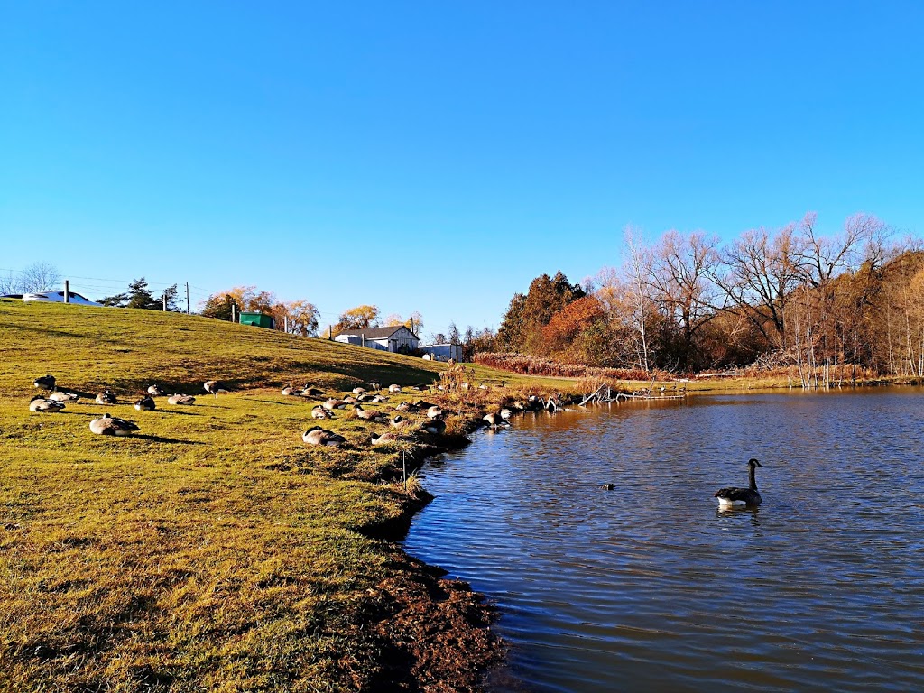 Oshawa Airport Golf Club | 1145 Thornton Rd N, Oshawa, ON L1H 7K4, Canada | Phone: (905) 723-5175