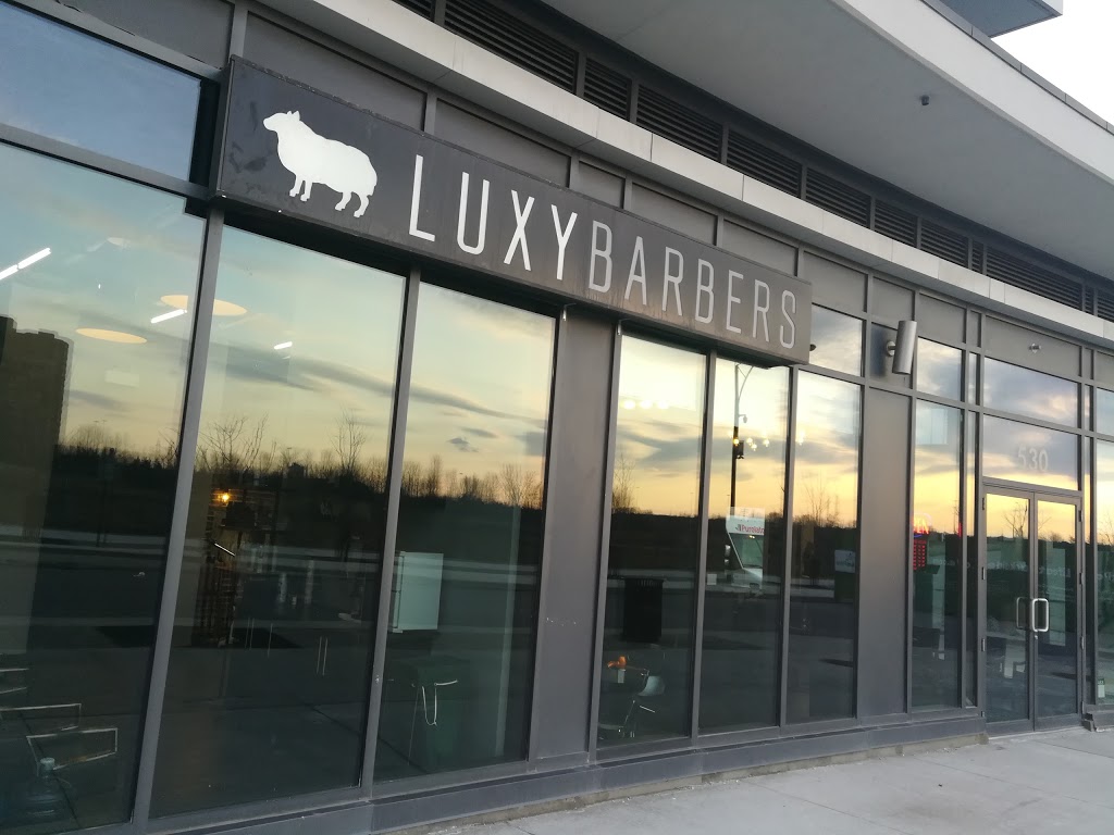 Luxy Barbers | 530 Arbutus Way, Mississauga, ON L5B 0H3, Canada | Phone: (905) 232-5899