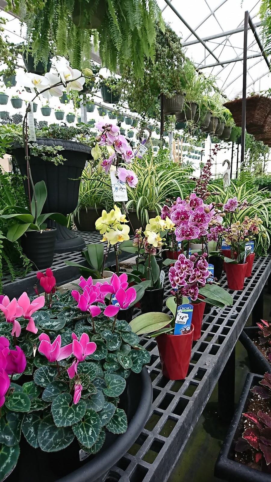 Springwater Garden Center | 13730 Simcoe County Road 27, Phelpston, ON L0L 2K0, Canada | Phone: (705) 322-2389
