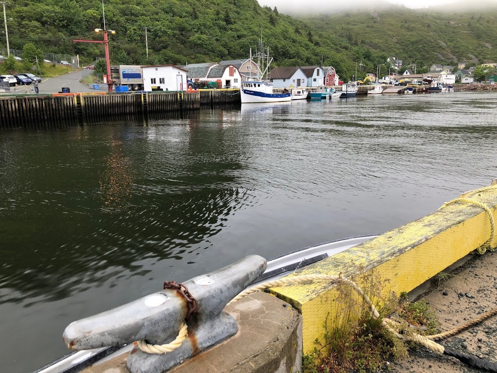 Bidgood's Cove Petty HarbourMaddox Cove, NL A1S 1L1, Canada