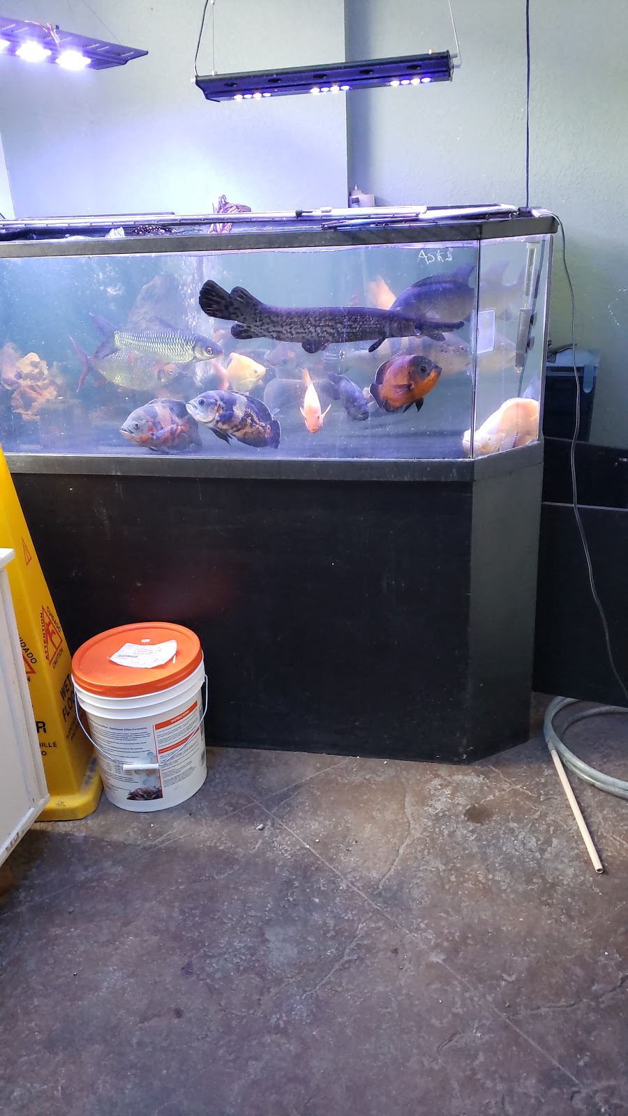 FishGuys Calgary | 12180 44 St SE Slip 10, Calgary, AB T2Z 4A2, Canada | Phone: (587) 429-3494