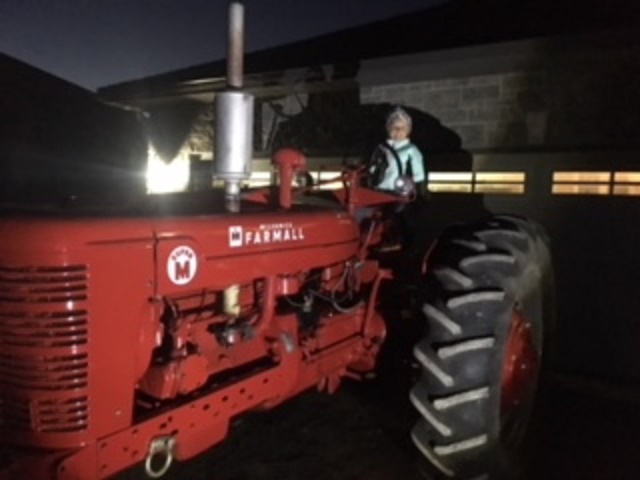Mark McCabe Tractor Sales | 77 Sunnywood Rd, Lindsay, ON K9V 4R5, Canada | Phone: (705) 879-8882