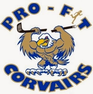Pro-Fit Health Club | 3771 6th Line, Ohsweken, ON N0A 1M0, Canada | Phone: (905) 765-1210