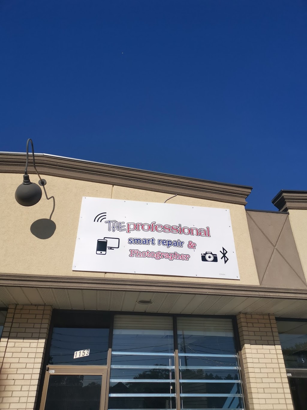 The Professional | 1153 Lauzon Rd, Windsor, ON N8S 3M9, Canada | Phone: (519) 999-1120