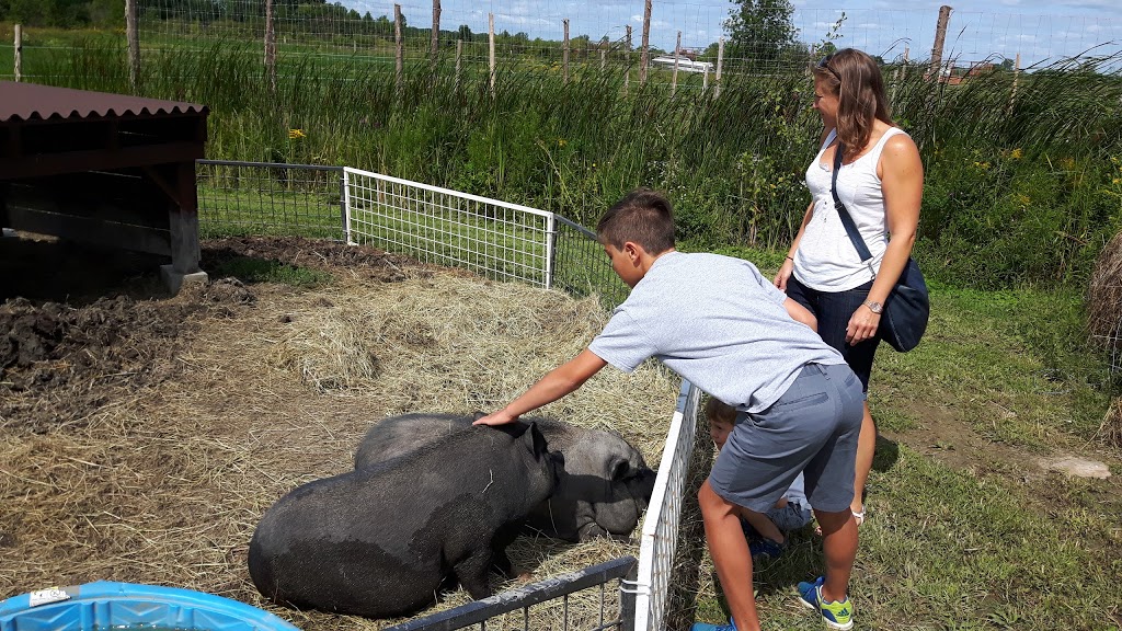 Ferme du Domaine Quinchien | 552 Route de Lotbinière, Vaudreuil-Dorion, QC J7V 0H4, Canada | Phone: (438) 837-9808