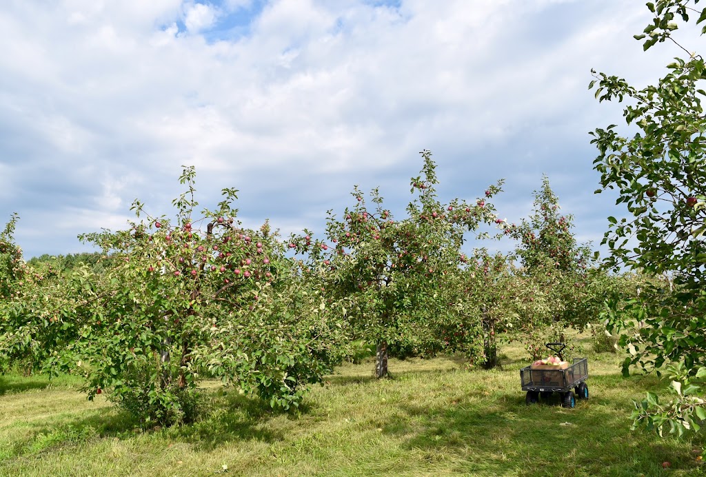 Verger Croque-Pomme | 20 Mnt Berndt, Thurso, QC J0X 3B0, Canada | Phone: (819) 281-2061