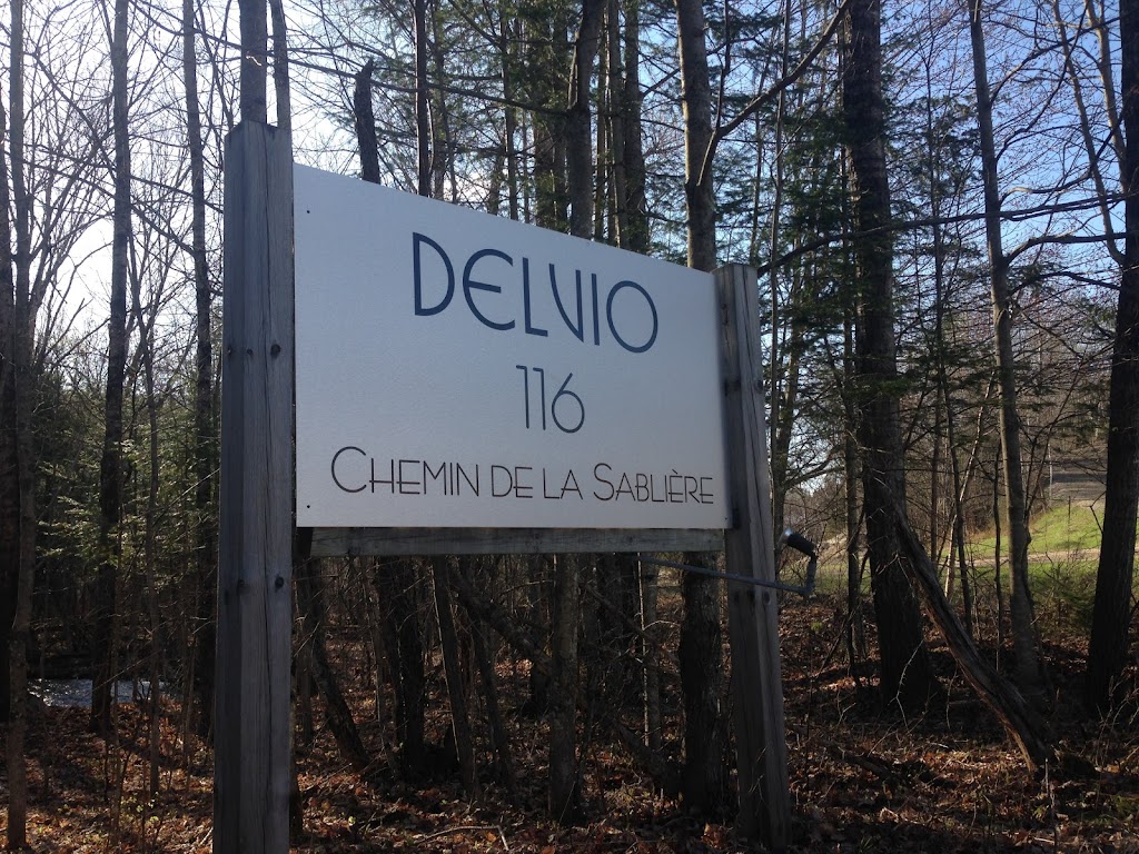 DELVIO Ltd. | 116 Chem. de la Sablière, Mont-Tremblant, QC J8E 1N6, Canada | Phone: (819) 717-4610