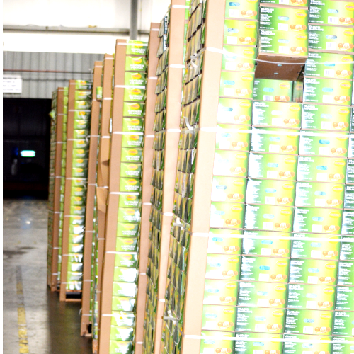 Vancouver Cold Storage | 13753 Hale Rd, Pitt Meadows, BC V3Y 1Z1, Canada | Phone: (604) 499-7440
