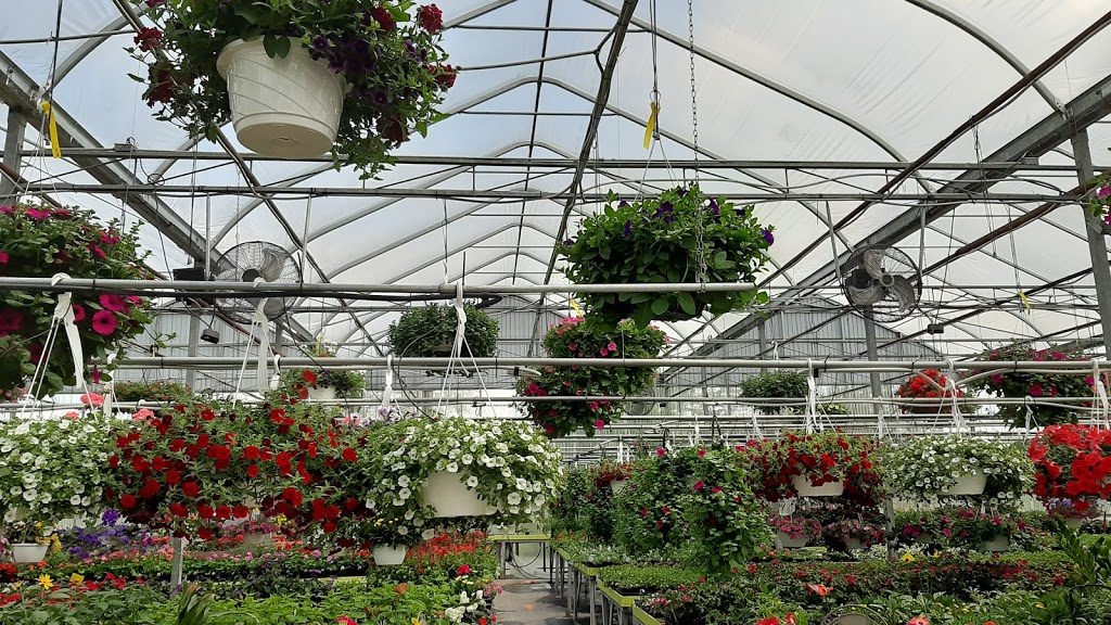 Village Nursery | 430 New Cumberland Rd, Pleasantville, NS B0R 1G0, Canada | Phone: (902) 543-5649