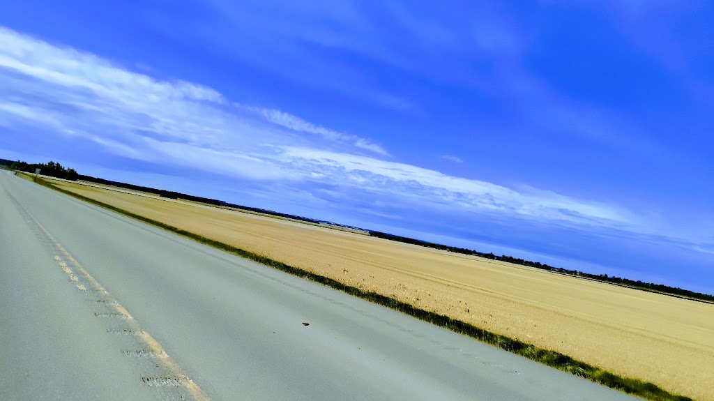 Reliable Transportation Services | Box 75, RR 1, Nestow, AB T0G 1S0, Canada | Phone: (780) 670-2196