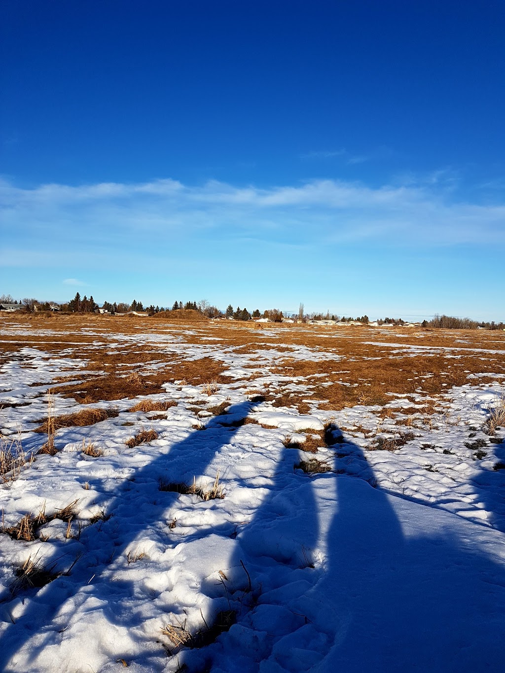 Willow Park Natural Area | 5707 45 St, Stony Plain, AB T7Z 1C7, Canada