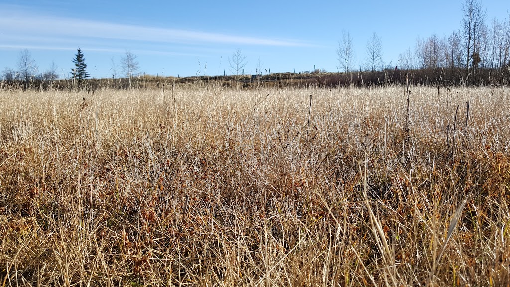 Nose Creek Park | 193 R Covington Close NE, Calgary, AB T3K 4L9, Canada
